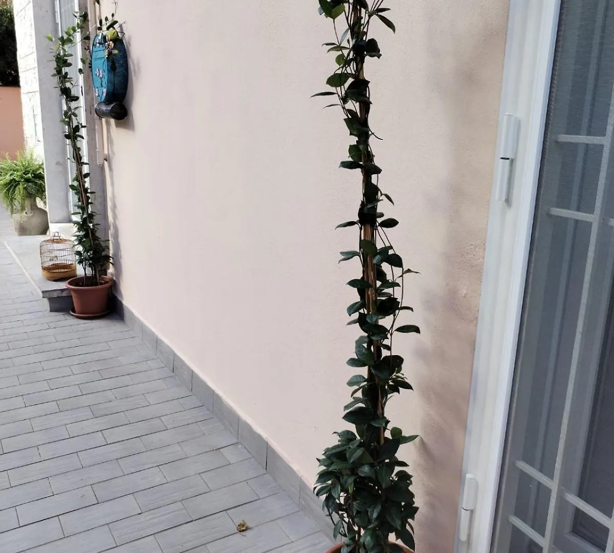 Affittacamere Hotel Stanza Del Principe Roma